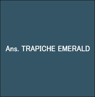 �g���s�b�`�F�E�G�������h�I