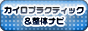 �J�C���v���N�e�B�b�N�����̃i�r