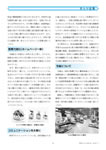 澮ȾWing21