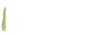 8x VXV