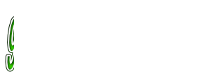 9x VXV